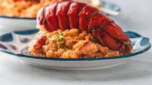 LOBSTER RISOTTO