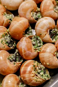 Escargot