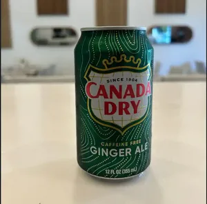 Ginger Ale 33cl