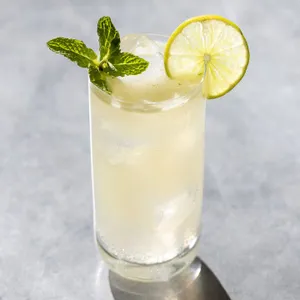 Mojito (Alcohol)