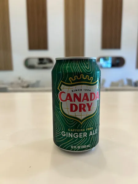 Ginger Ale 33cl